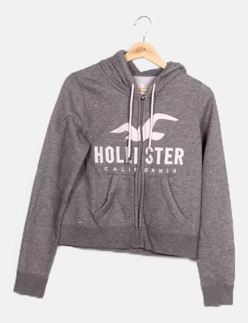 Hollister Sudadera